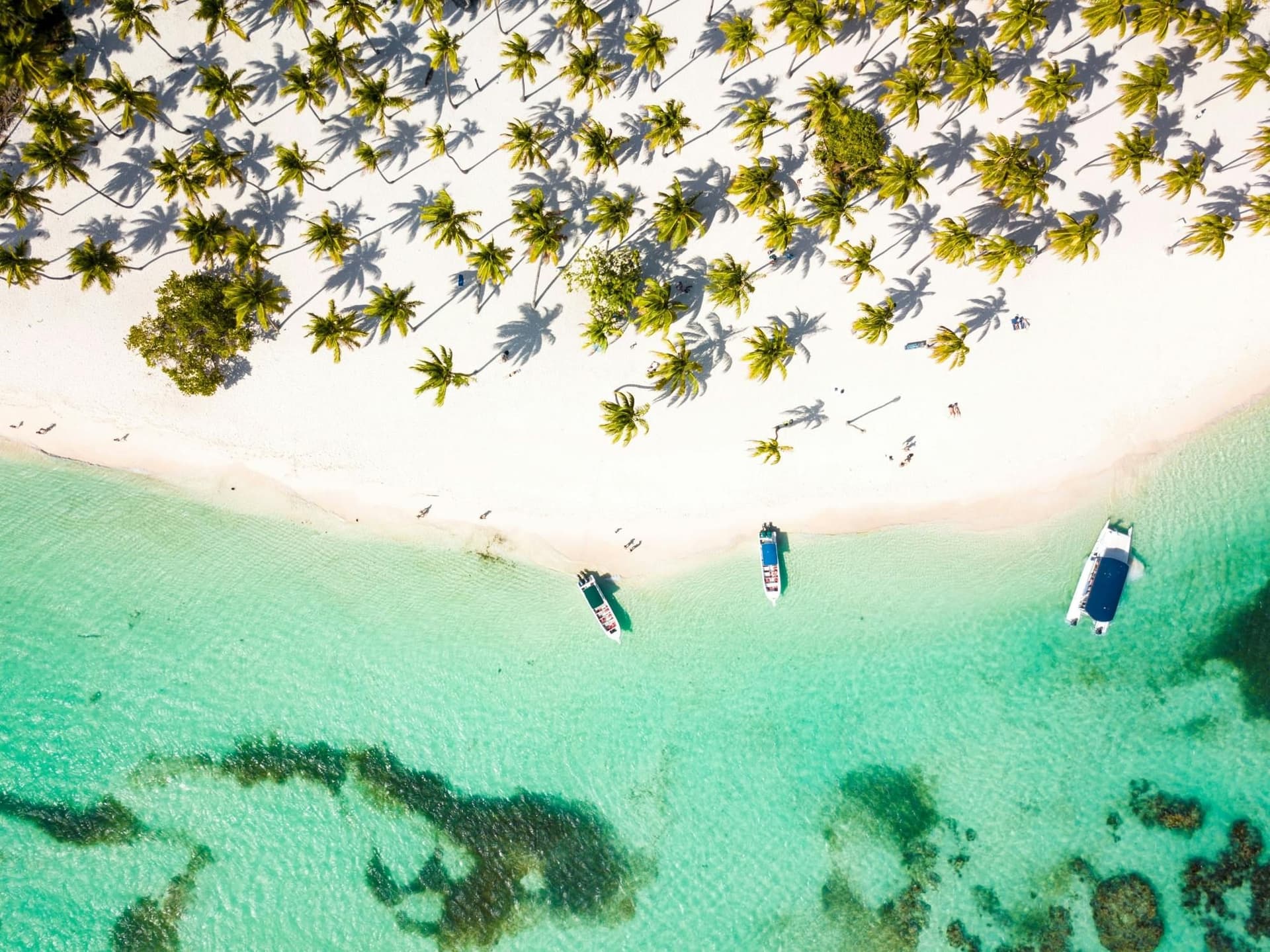 Croisière sur l'île de Saona avec zone de plage privée et déjeuner