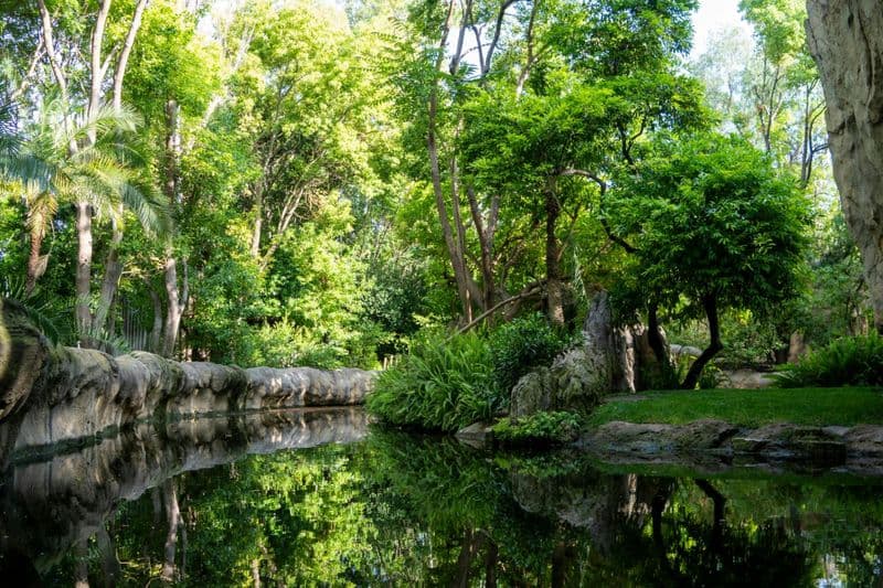 Billet d'entrée au Bioparc Valencia