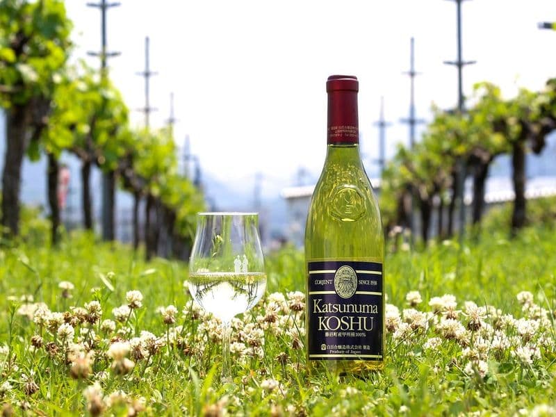 Visite spéciale des vins à la cave Shirayuri à Katsunuma Yamanashi