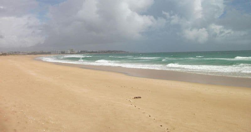 Excursion d'observation des oiseaux au lagon d'Abicada et aux dunes d'Alvor