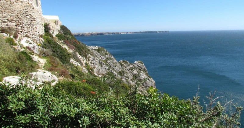 Excursion d'observation des oiseaux d'une journée à Sagres