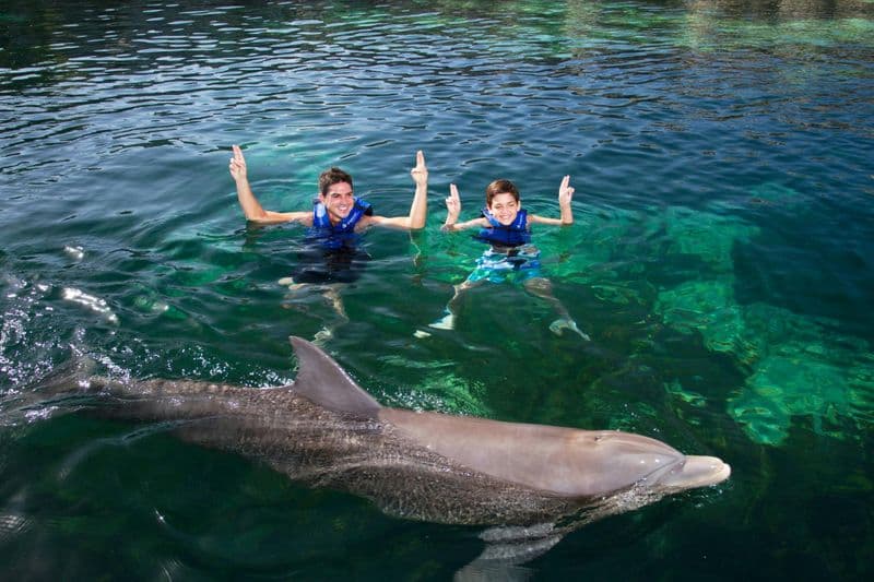 Baignade avec les dauphins et plongée en apnée au lagon de Yal kú, Riviera Maya, avec Delphinus