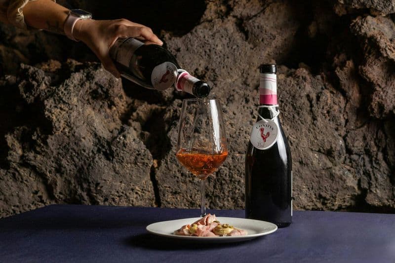 Dégustation de vins pour adultes à la cave Conatvs à Fuerteventura