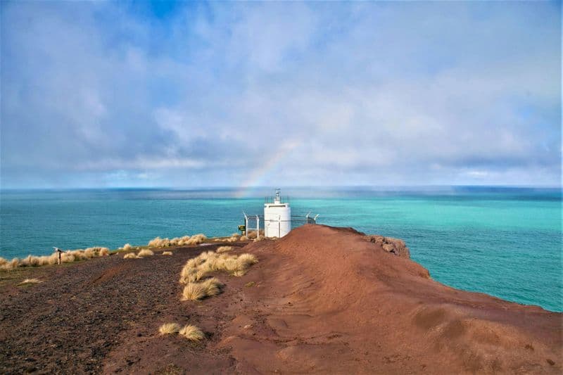Safari nature panoramique d'une demi-journée