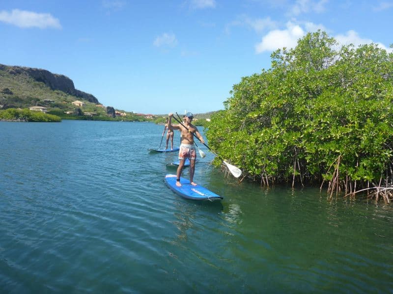 Visite guidée en stand up paddle