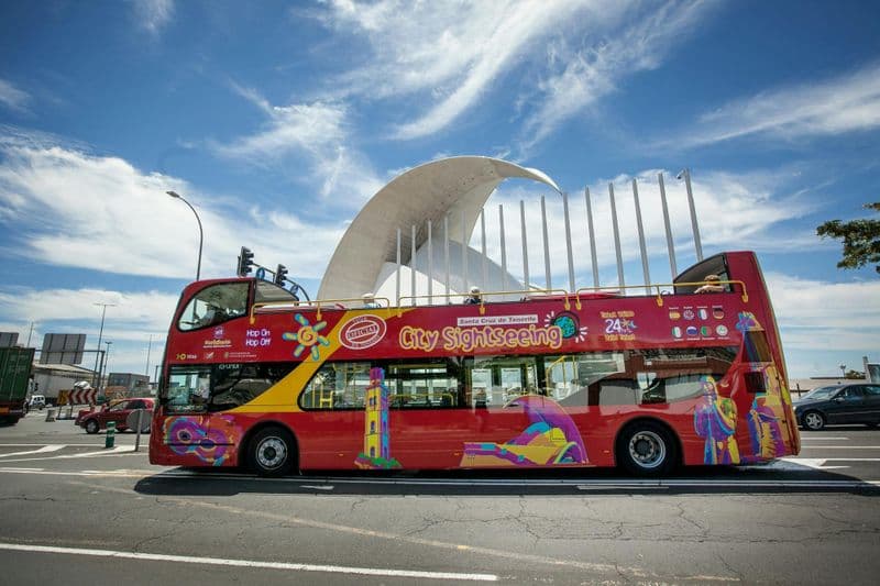 Santa Cruz City Sightseeing 24-hour hop-on hop-off bus ticket