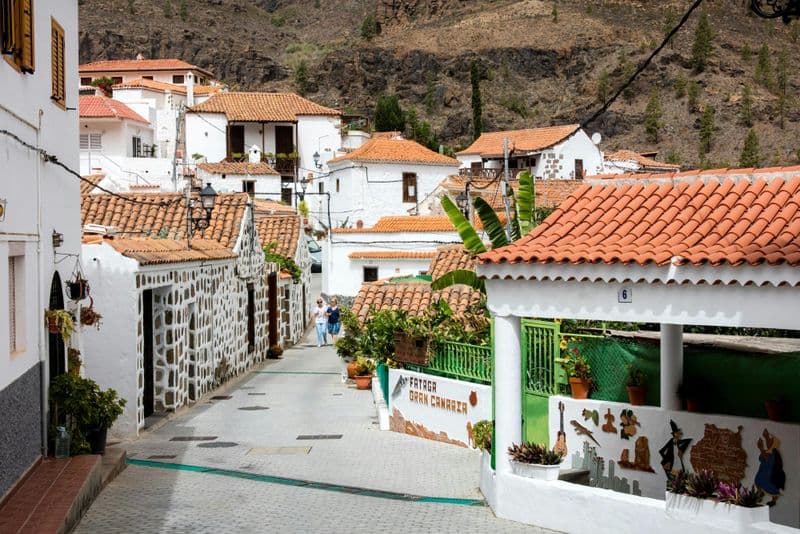 Aventure en 4x4 à Gran Canaria et ferme d'aloe vera