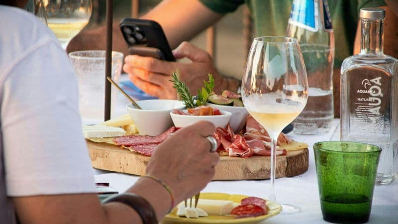 Visite guidée du vignoble et dégustation de 7 vins à Palau