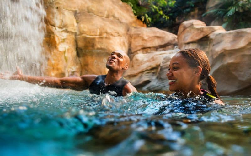 Discovery Cove Packages 2026