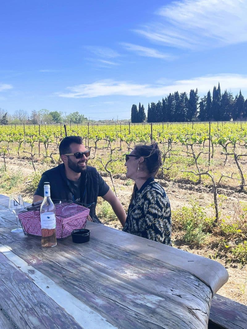 Billet Excursion d'une demi-journée en minibus au Sable de Camargue avec déjeuner et dégustations