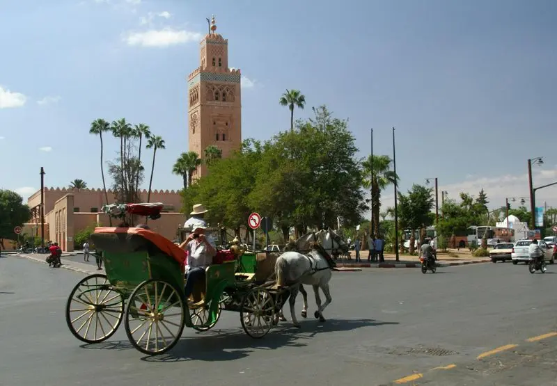 Private guided tour of Marrakech with pick-up from Casablanca