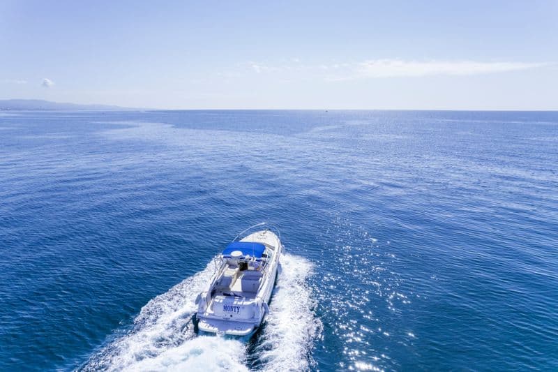 Sea Ray Amberjack 290 (Motorboat)