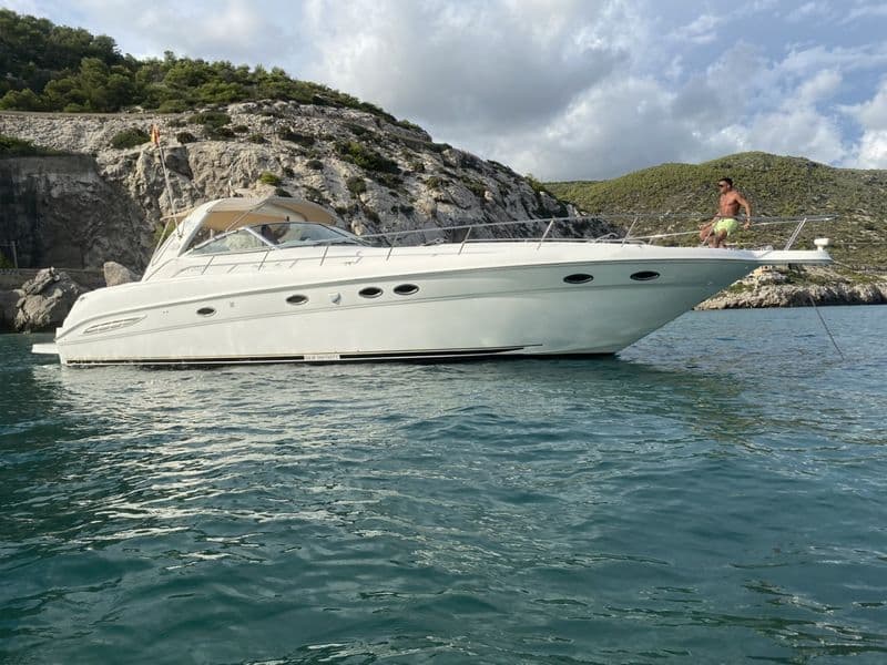 Billet Sea Ray 460 Sundancer (Motorboat)