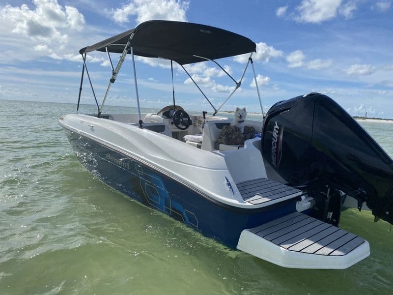 Location de bateau - Bayliner Element (Motorboat)