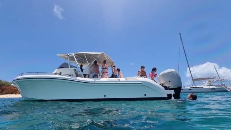 Location de bateau - fire bird 36 SOL (Motorboat)