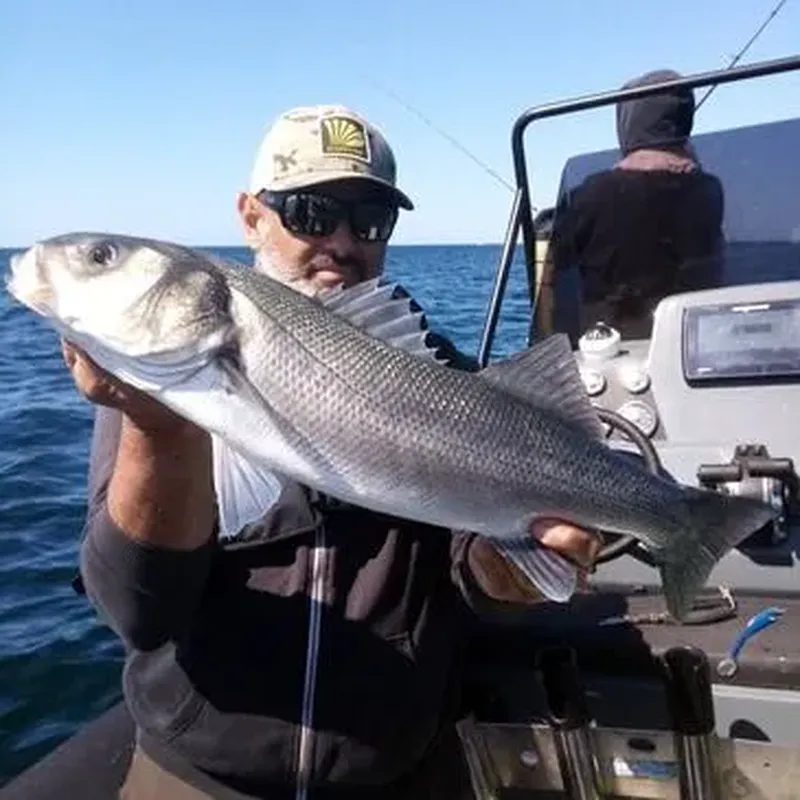Billet Pêche Sportive à la Rochelle