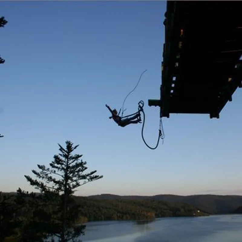 Billet Saut à l'élastique près de Nancy