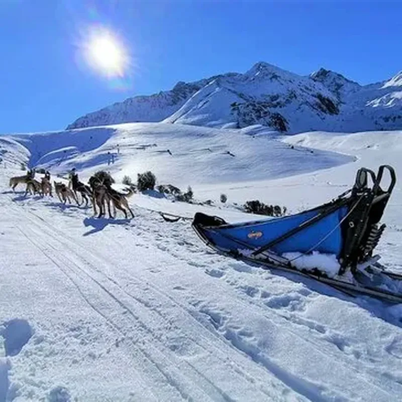 Randonnée en Chiens de Traîneau à La Mongie