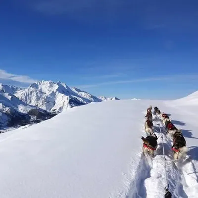 Randonnée en Chiens de Traîneau à Hautacam