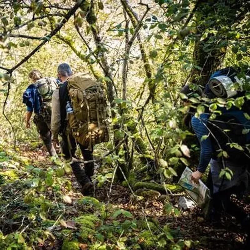 Billet Week-End Stage de Survie à Fontainebleau