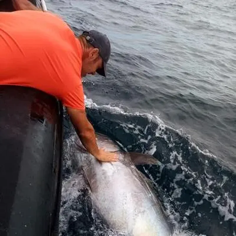 Billet Pêche au Gros à la Rochelle
