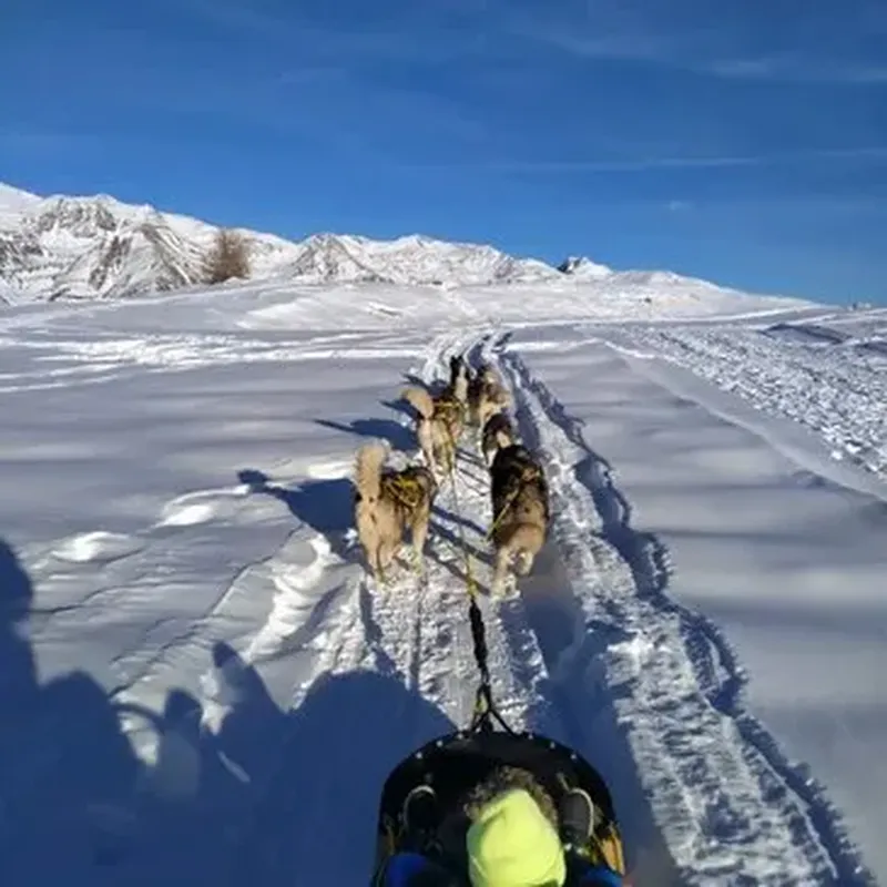 Billet Randonnée en Chiens de Traineau à Auron