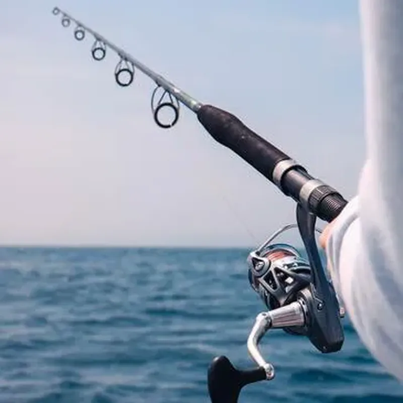 Pêche Côtière en Bateau près de Montpellier