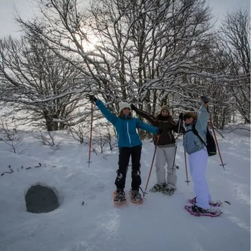 Billet Randonnée en Raquette dans les Vosges