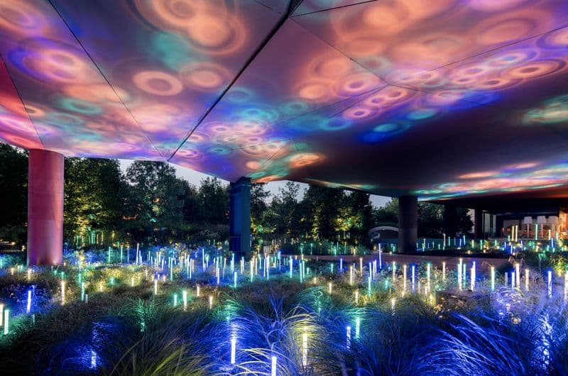 Musée du quai Branly - Jacques Chirac : Pass annuel coupe-file