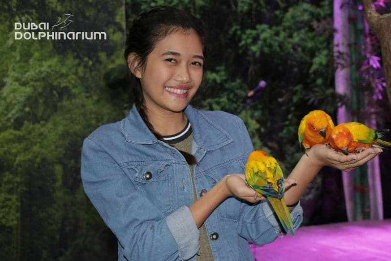 Dolphinarium de Dubaï : Spectacle d'oiseaux exotiques du parc Creek