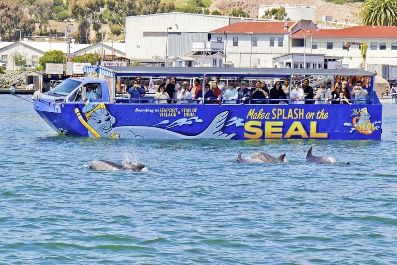 Billet San Diego : Visite en Bus amphibien d'1h30 avec Observation des Phoques