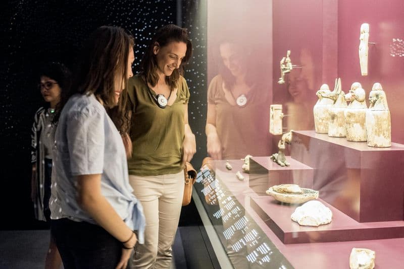 Musée des Confluences: Billet d'entrée