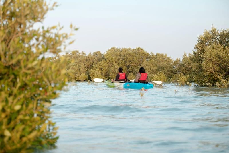 Excursion guidée en kayak dans les mangroves