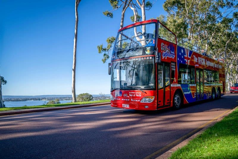 Billet Perth et Kings Park : visite en bus Hop-on Hop-off