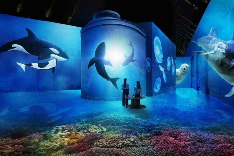 Fabrique des Lumières : Entrée dans l'expérience immersive