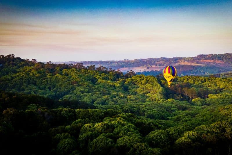 Byron Bay : Vol en montgolfière au lever du soleil