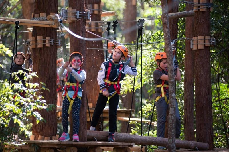 Treetops Adventure Newcastle : Parcours d'accrobranche junior