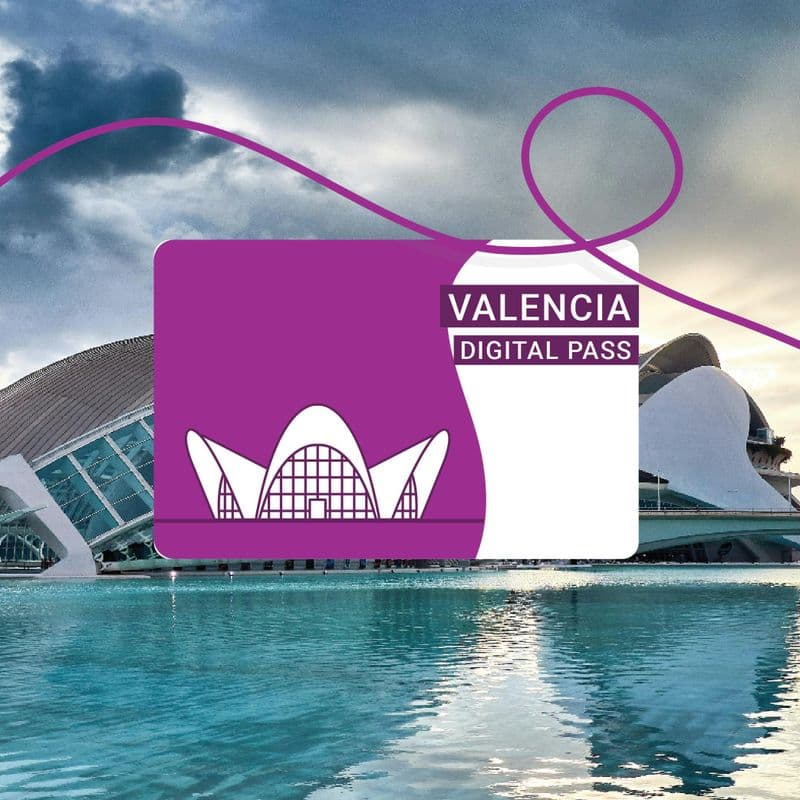 Billet The Valencia Pass