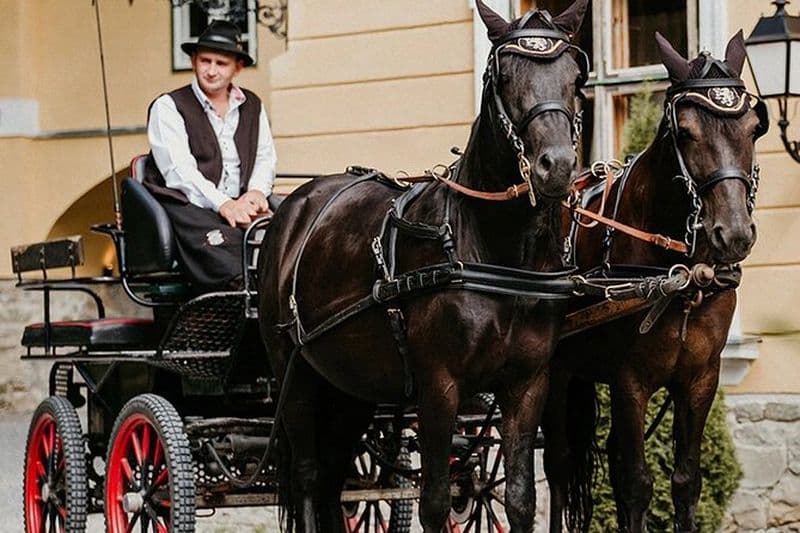 Balade en calèche ou en traîneau avec panier de pique-nique dans le comté de Covasna