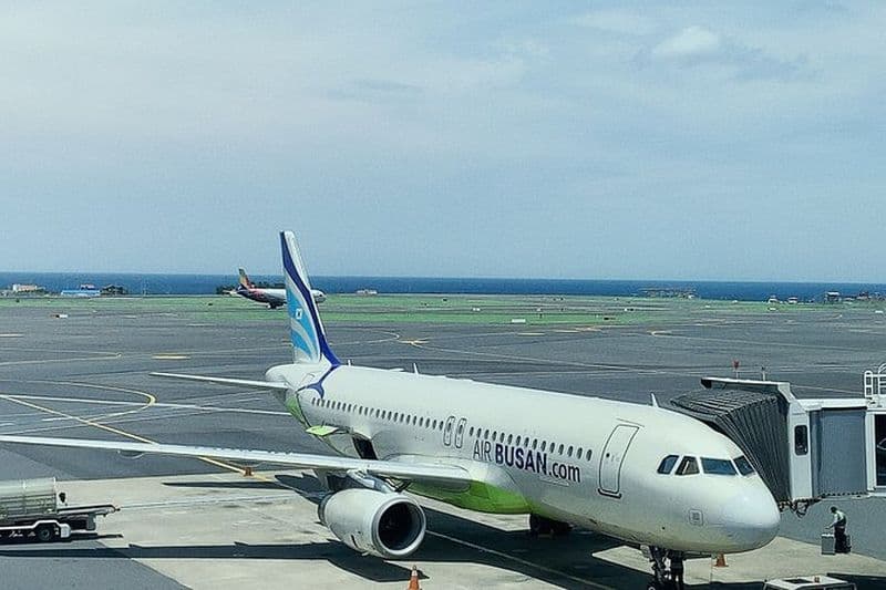 Visite des hauts lieux de la ville d'Escale de Taipei avec pick-up