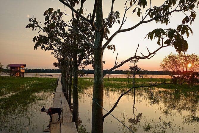 Coucher de soleil sur l'Amazonie avec pêche et recherche de dauphin rose