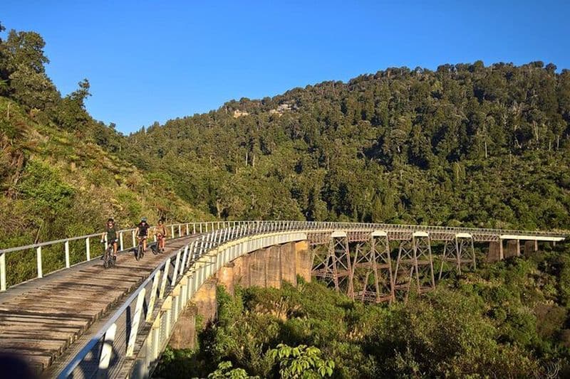 Visite guidée à vélo d'Old Coach Road à partir d'Ohakune