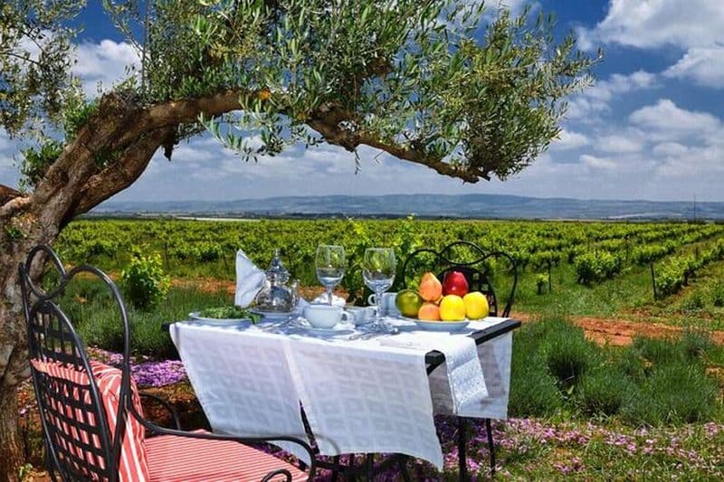 Dégustation de vins et déjeuner dans le plus ancien domaine de Casablanca