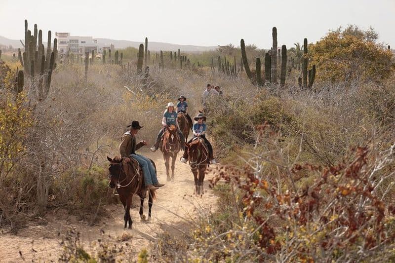 Balade à cheval à Cabo San Lucas