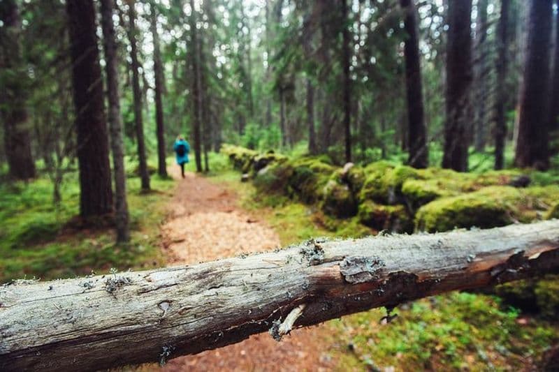Randonnée guidée dans les pays baltes en 14 jours