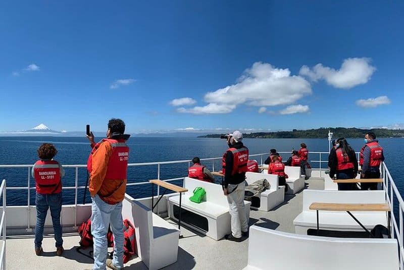 Billet Visite panoramique en catamaran sur le lac de Llanquihue