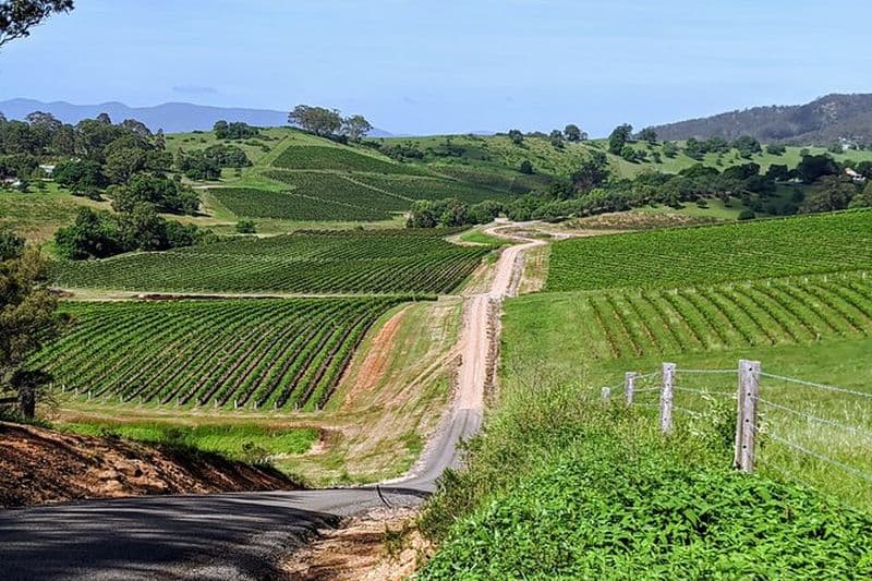 Vin et fromage Hunter Valley à partir de la région de Hunter