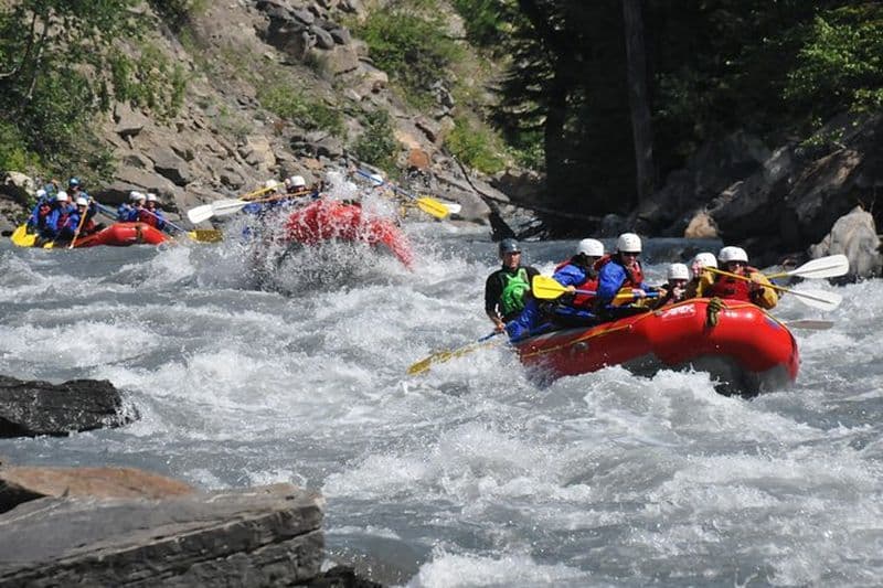 Rafting en eau vive d'une demi-journée à Revelstoke