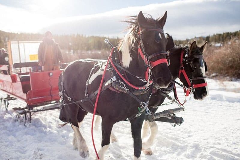 Billet Balade en traîneau tiré par des chevaux de Noël au départ de Salzbourg