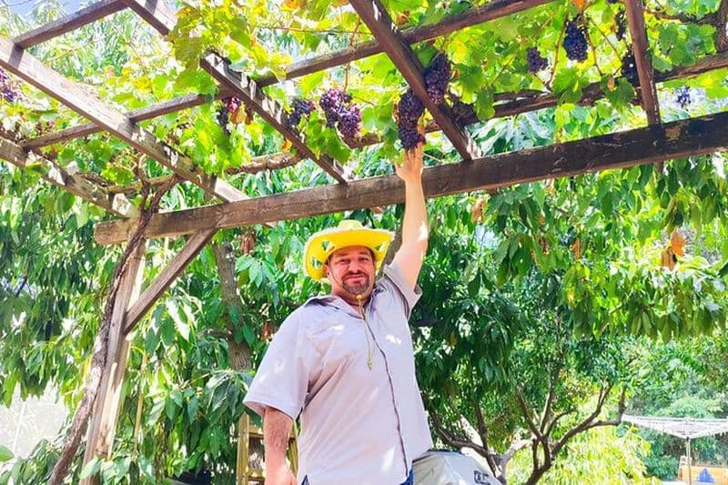 Vins et merveilles des collines de Judée - Visite privée des vins